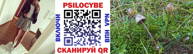 Галлюциногенные грибы Psilocybe  купить закладку  Апрелевка 
