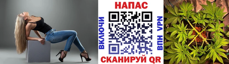 Канабис гибрид  купить   блэк спрут ссылка  Апрелевка 